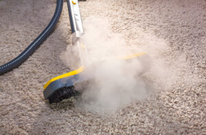 Steam Cleaning A Wool Carpet