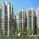 Flats VS House – How to choose best residential property for you