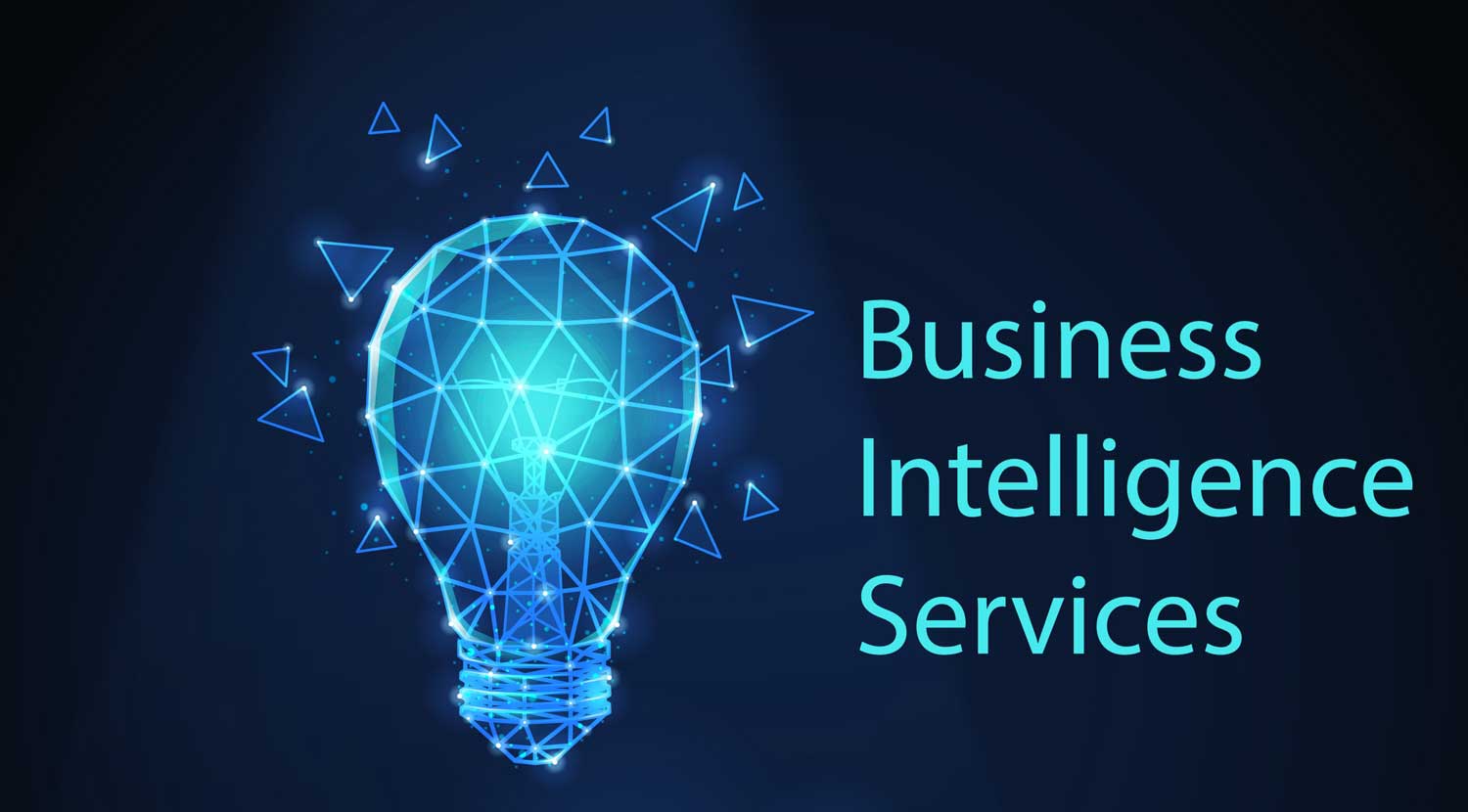 business intelligence service provider