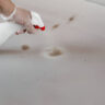 Tips to remove Grease and Oil Stains from Carpets