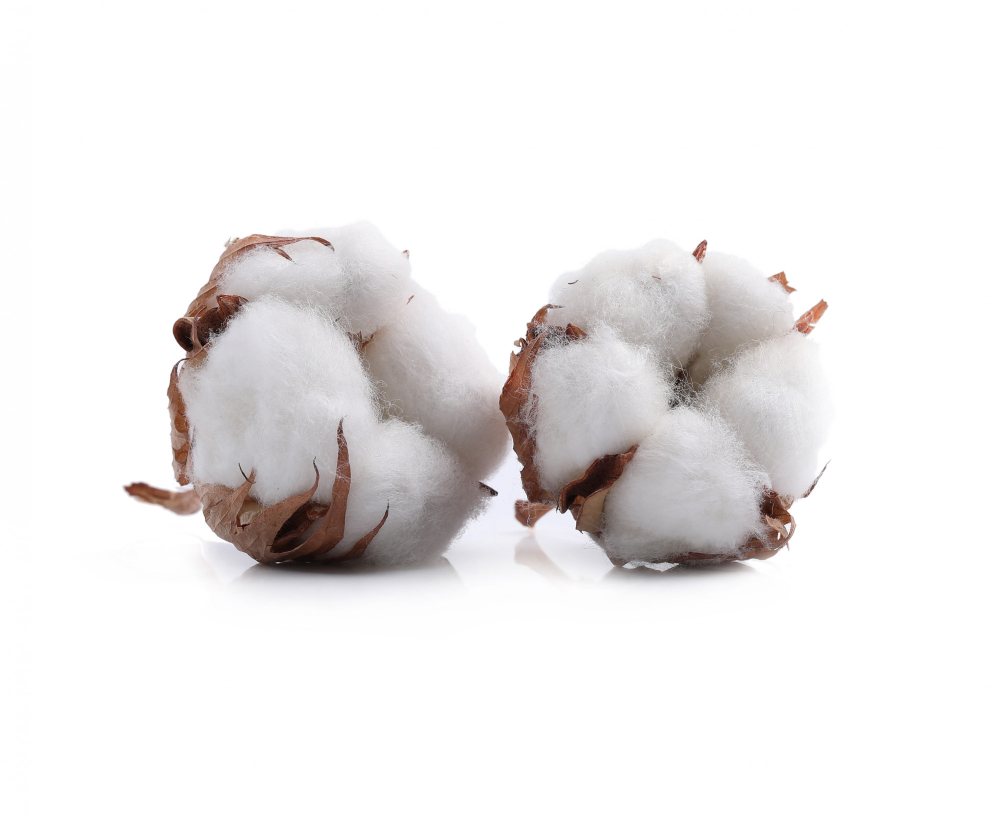 cotton price