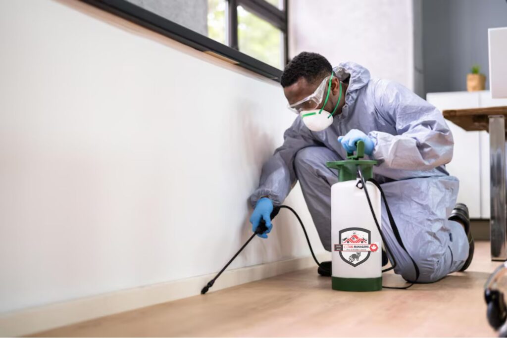 Advantages of Regular Pest Control in the Greater Toronto Area: A Comprehensive Guide
