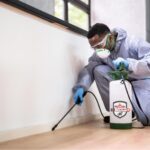 Advantages of Regular Pest Control in the Greater Toronto Area: A Comprehensive Guide