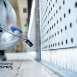 Pest Infestation Signs to Look for Before Hiring Pest Control in Delhi