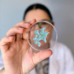 Early Detection of Skin Cancer